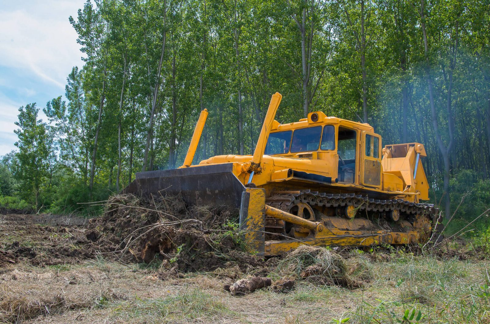 tree site clearance services in hertfordshire 01